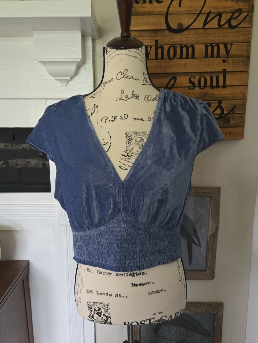 aerie Blue Velvet V-Neck Smocked Crop Top